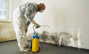 Best Mold Remediation for Healthcare Facilities  in Duquesne, PA